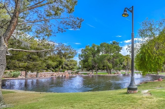 10009 Coral Sands Dr, Las Vegas, NV 89117 - property view of water