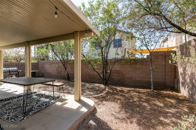 view of yard with a fenced backyard and a patio area