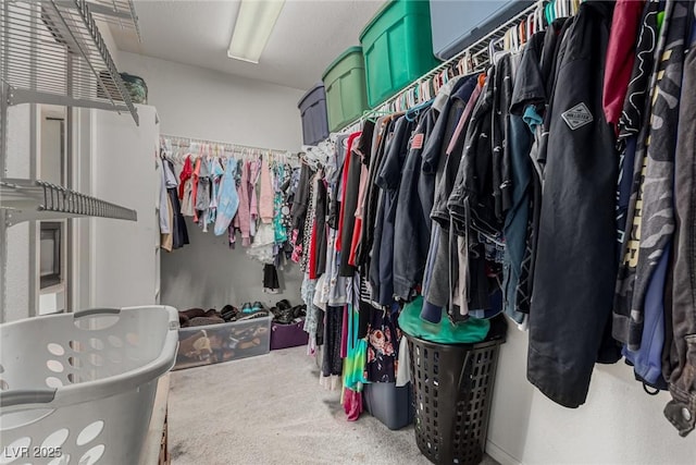 1066 Aspen Valley Ave, Las Vegas, NV 89123 - walk in closet with carpet flooring