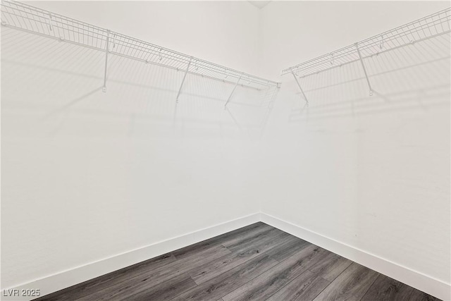 spacious closet featuring dark wood finished floors