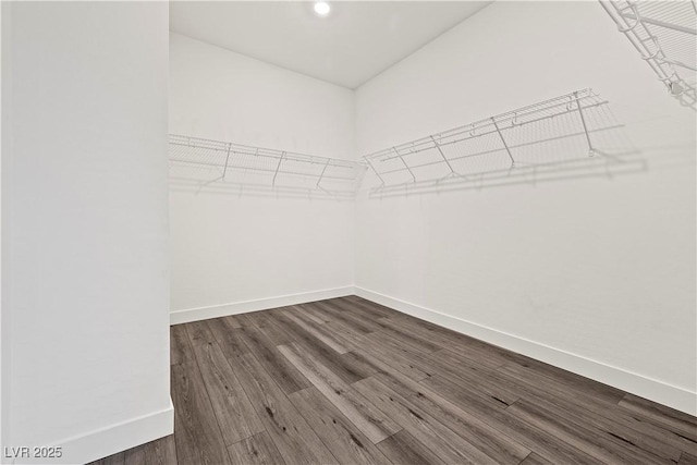walk in closet featuring dark wood-style floors