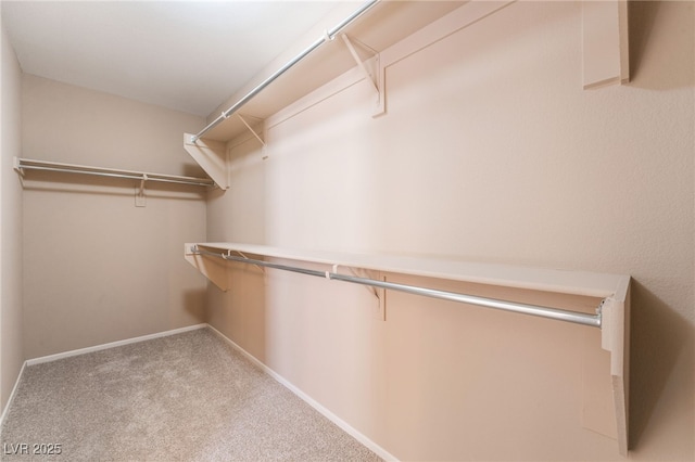 walk in closet with carpet