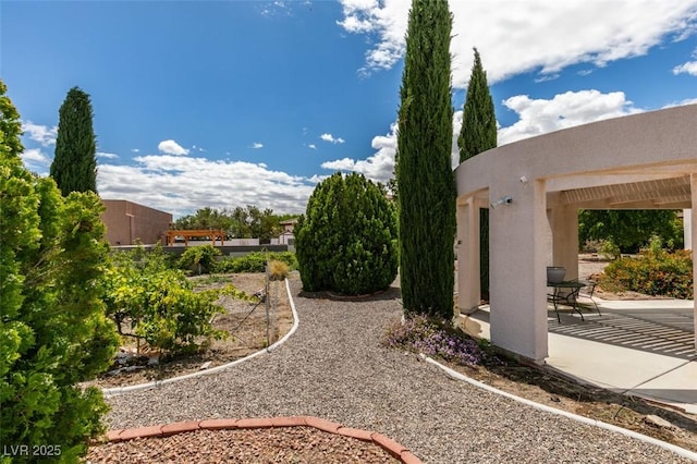 view of yard with a patio area