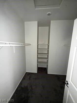4645 Fuchsia Nights Ave Unit 103, North Las Vegas, NV 89084 - walk in closet with dark carpet