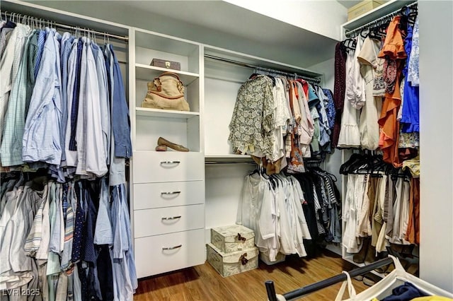 walk in closet with wood finished floors