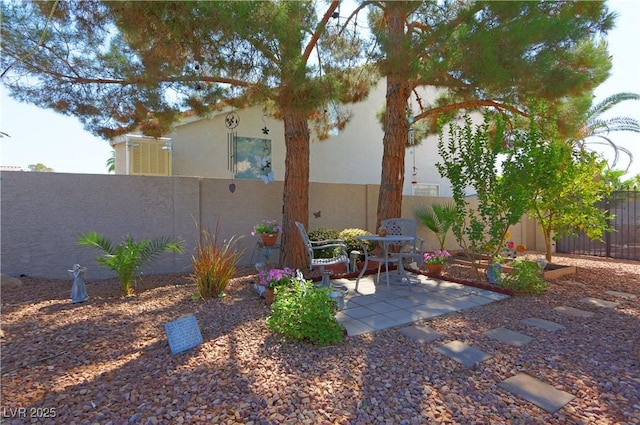view of yard featuring a patio and a fenced backyard