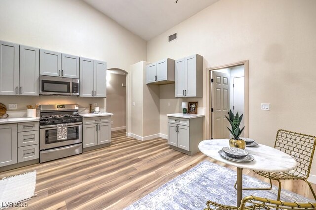 10205 Birch Bluff Ln, Las Vegas, NV 89145 - kitchen featuring appliances with stainless steel finishes, high vaulted ceiling, gray cabinetry, arched walkways, and light countertops