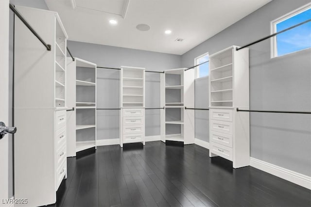 walk in closet with dark wood-style flooring