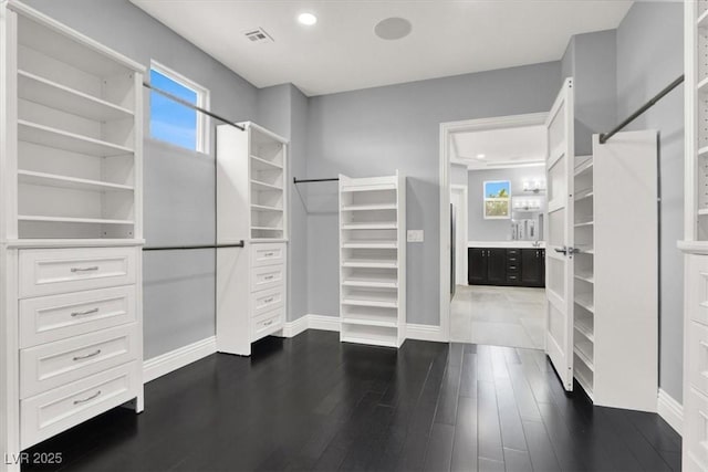 spacious closet featuring visible vents and dark wood-style flooring