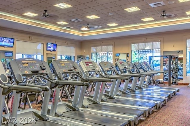 workout area with visible vents, a ceiling fan, a drop ceiling, and a tray ceiling