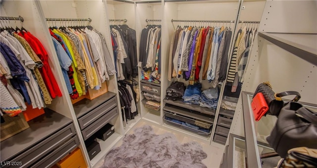 8310 W Camero Ave, Las Vegas, NV 89113 - view of walk in closet