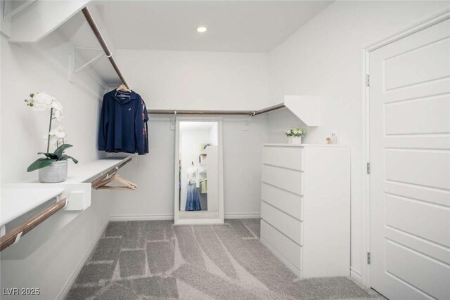 walk in closet featuring carpet floors