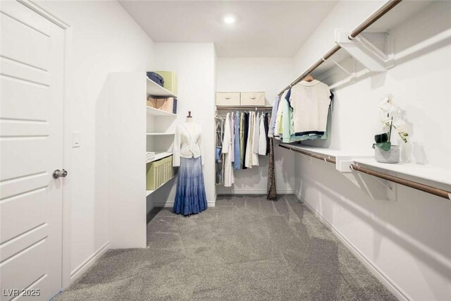 walk in closet featuring carpet