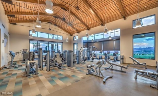 58 Sun Lily Ln, Henderson, NV 89011 - gym with a wealth of natural light, wood ceiling, carpet, and high vaulted ceiling