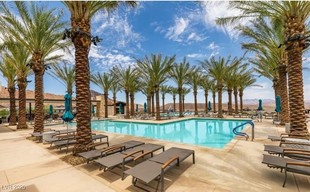 58 Sun Lily Ln, Henderson, NV 89011 - pool featuring a patio area
