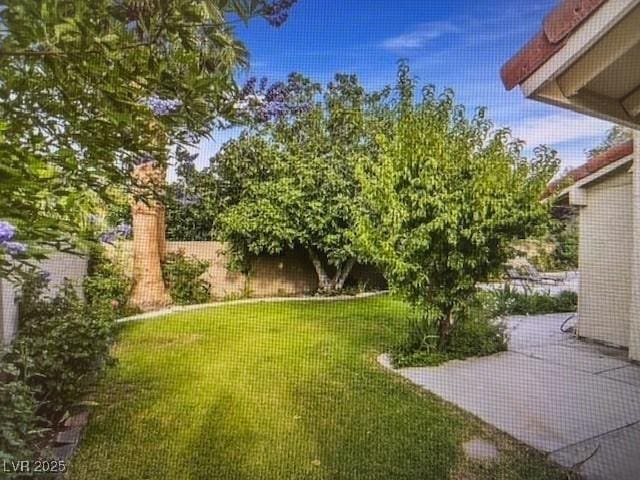 390 Rushing Creek Ct, Henderson, NV 89014 - view of green lawn featuring a patio area