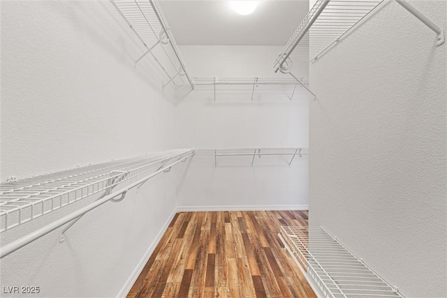 2164 Sawtooth Mountain Dr, Henderson, NV 89044 - spacious closet with hardwood / wood-style flooring