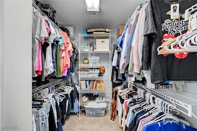 722 Chepstow Ave, Las Vegas, NV 89178 - spacious closet with carpet flooring