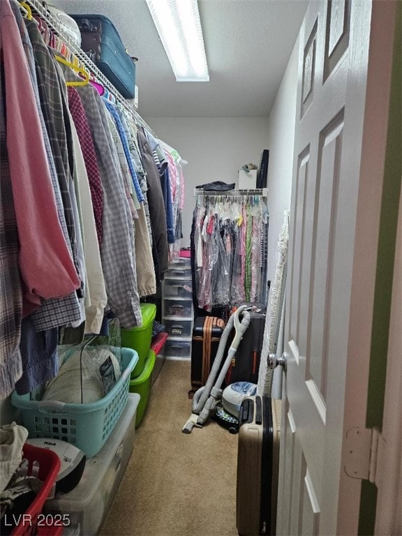 walk in closet with carpet