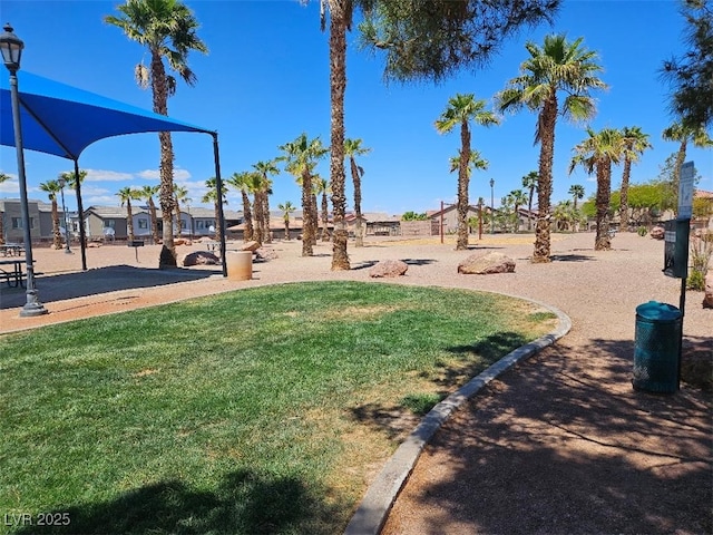 view of community featuring a yard