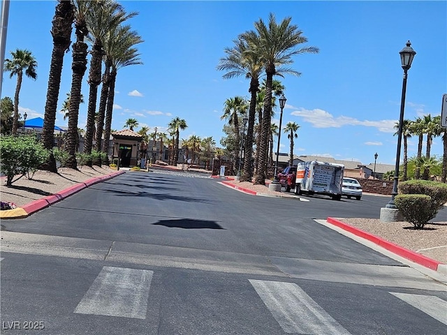 view of street featuring street lights and curbs