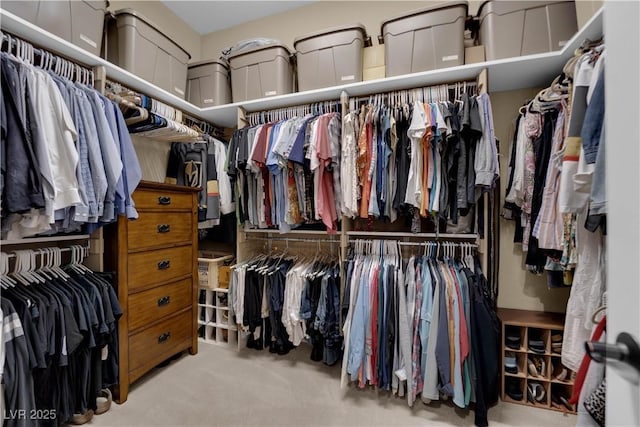 spacious closet featuring carpet floors