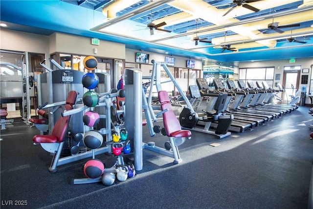 workout area featuring ceiling fan