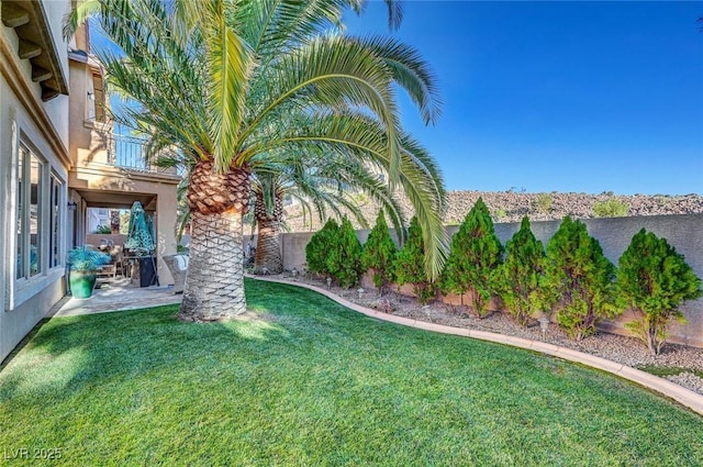 view of yard with a patio