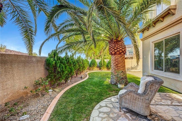 view of yard with a fenced backyard and a patio