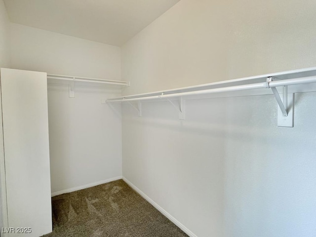 walk in closet with carpet flooring