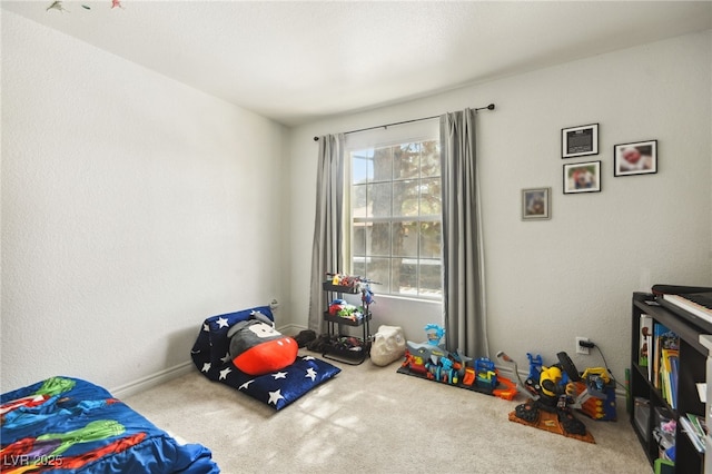 bedroom with carpet floors
