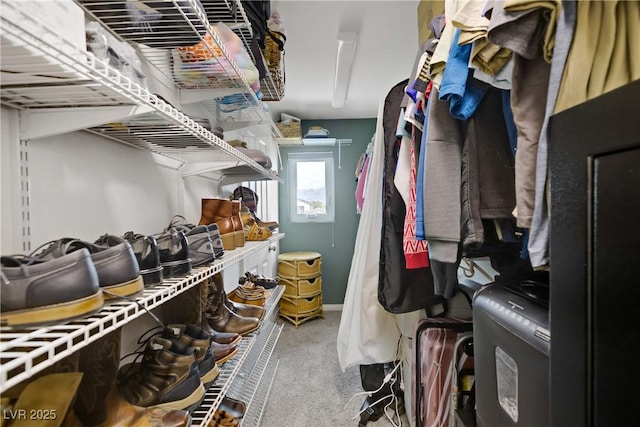 walk in closet with carpet floors