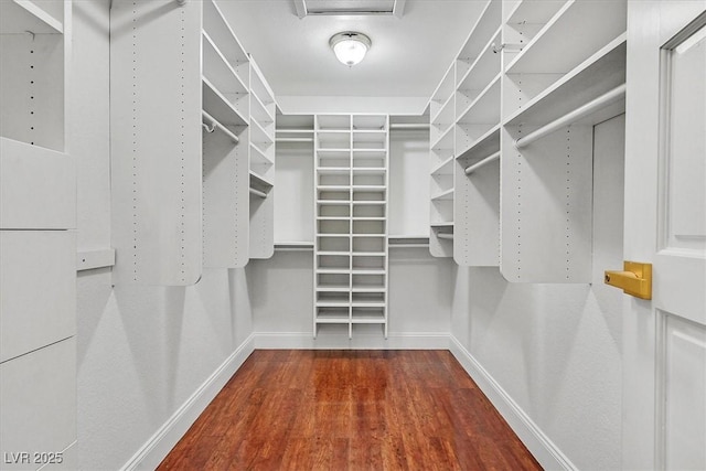 spacious closet featuring wood finished floors