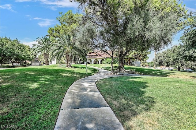 view of community featuring a lawn