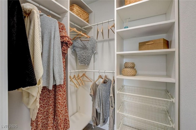 view of spacious closet