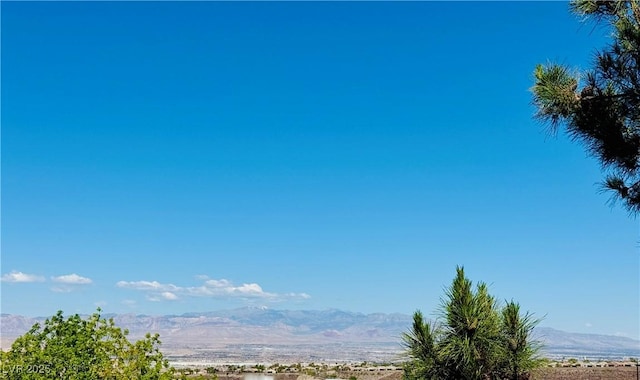 2312 Indigo Island St, Henderson, NV 89044 - photo 45