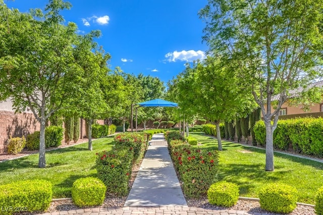 view of community featuring a yard