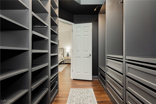 spacious closet with dark wood-style floors