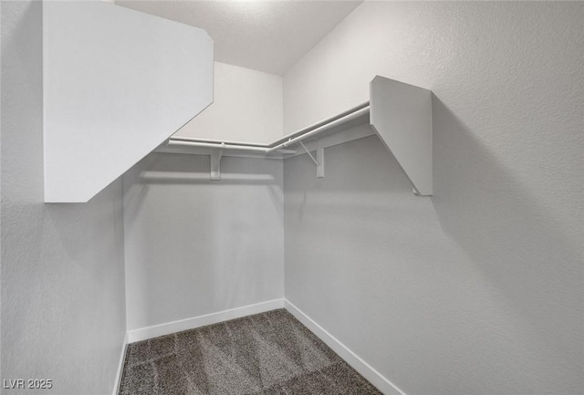 spacious closet with carpet flooring