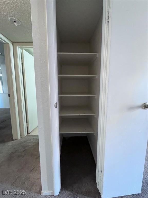 805 Rock Springs Dr Unit 101, Las Vegas, NV 89128 - view of closet