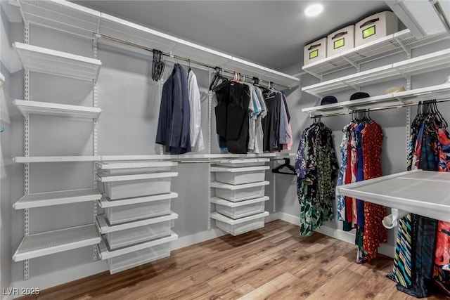 spacious closet with wood finished floors