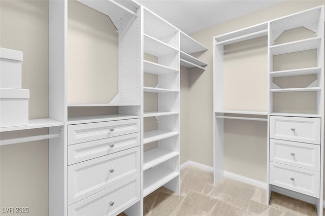 walk in closet with light carpet