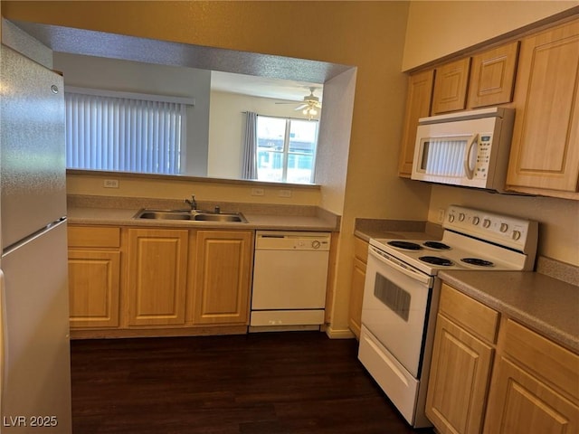 kitchen featuring a sink, a ceiling fan, white appliances, and dark wood finished floors