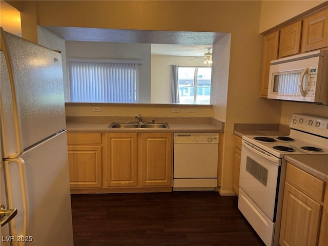 kitchen with a sink, white appliances, light countertops, a ceiling fan, and dark wood-type flooring