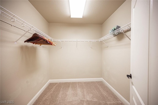 spacious closet with carpet floors