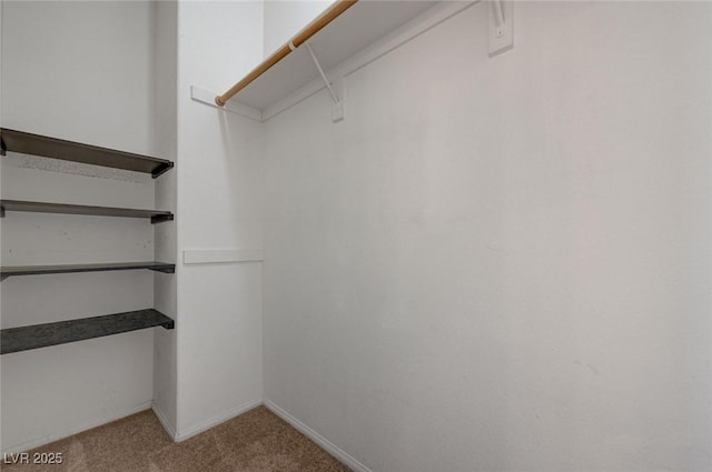 spacious closet featuring built in study area and carpet flooring