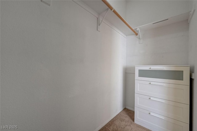 walk in closet with light colored carpet