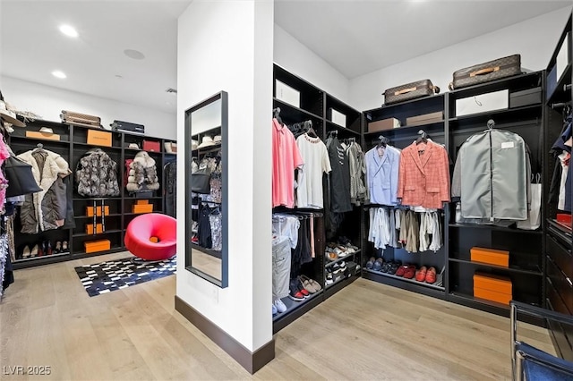 walk in closet featuring wood finished floors