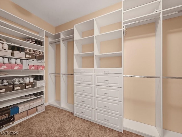 spacious closet with carpet