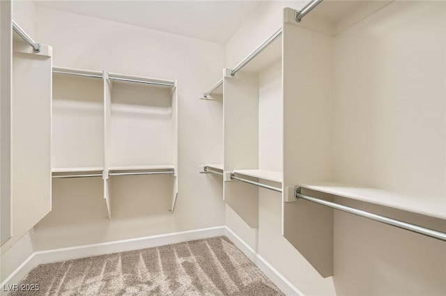 2372 Perrysburg Dr, Henderson, NV 89044 - walk in closet featuring carpet